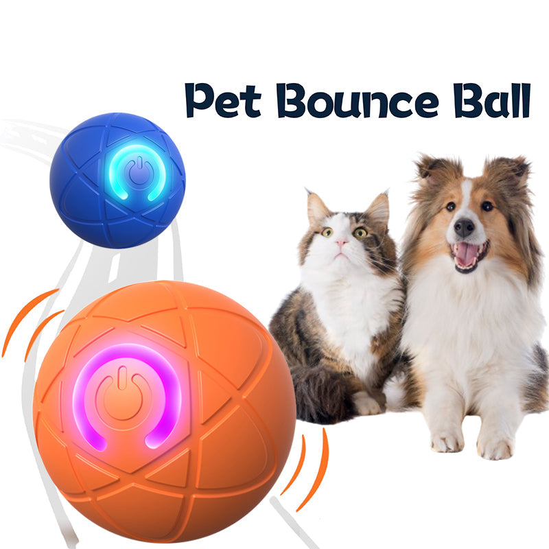 Electric Rolling Pet ToyBall