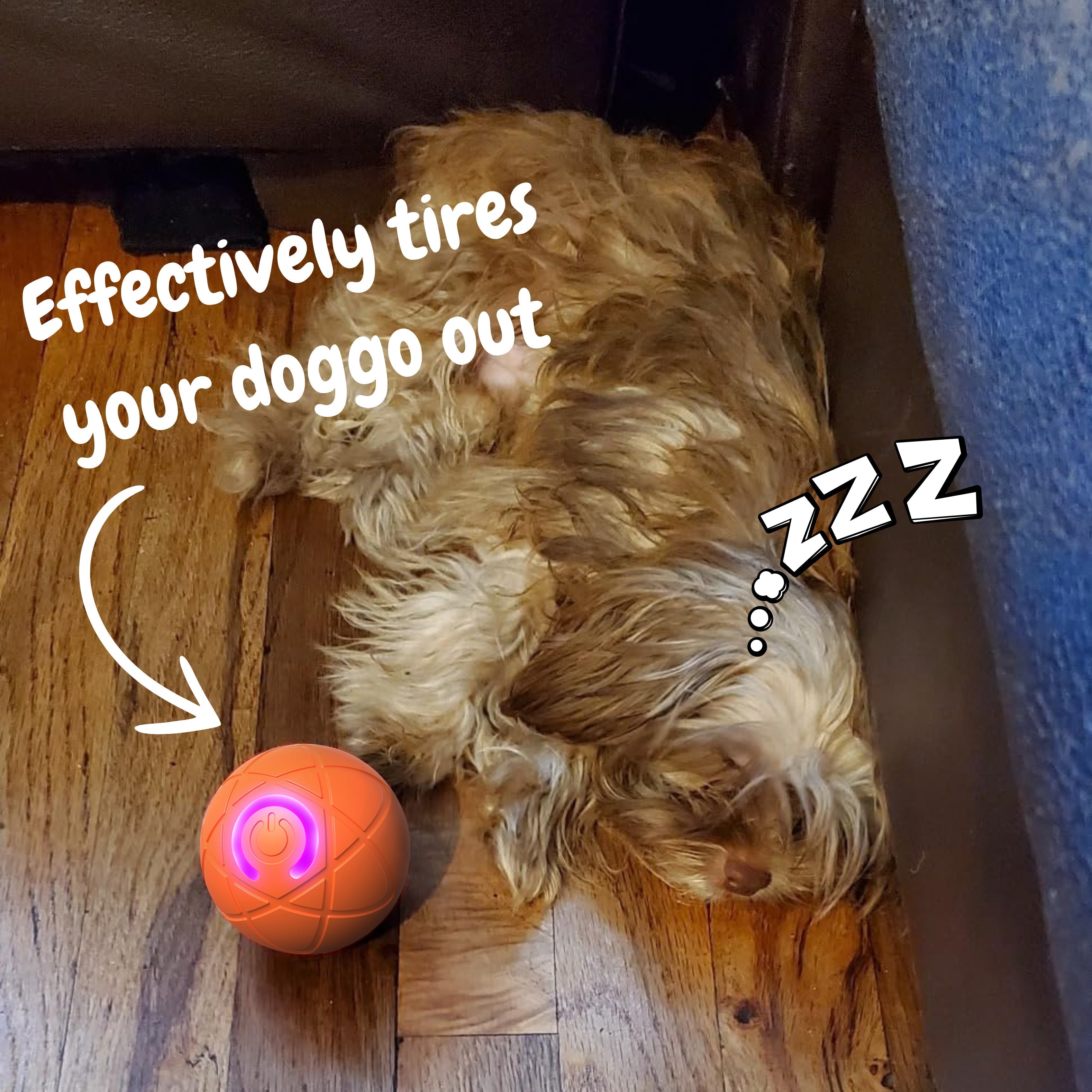 Electric Rolling Pet ToyBall