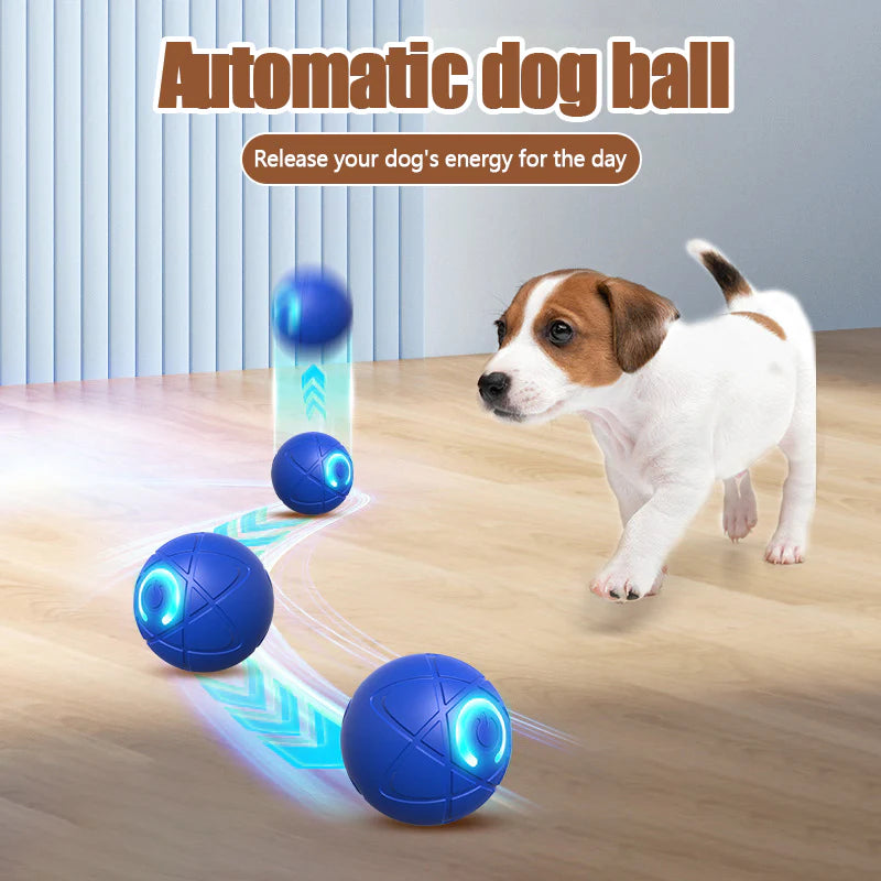 Electric Rolling Pet ToyBall
