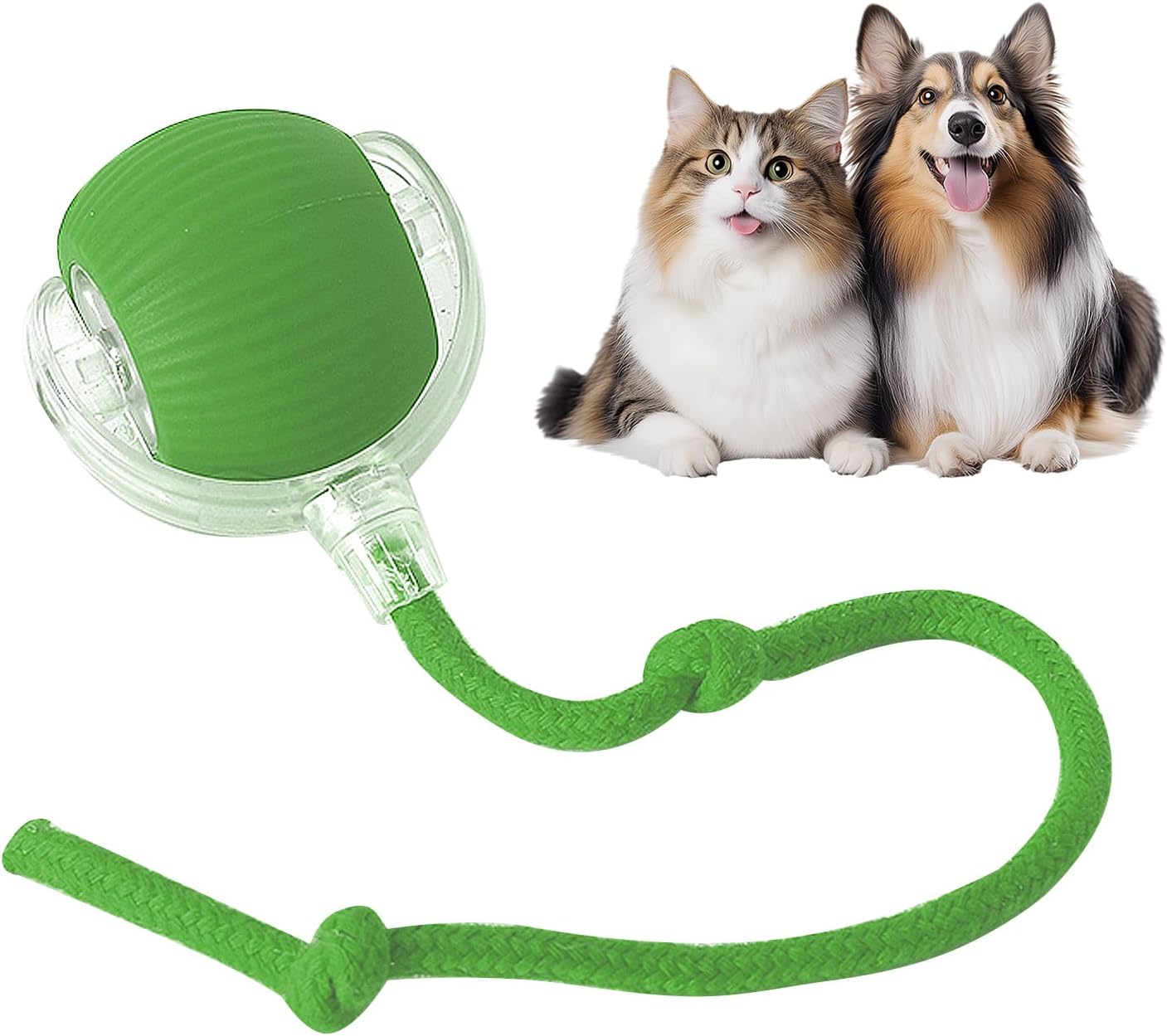 Interactive Pet ToyBall