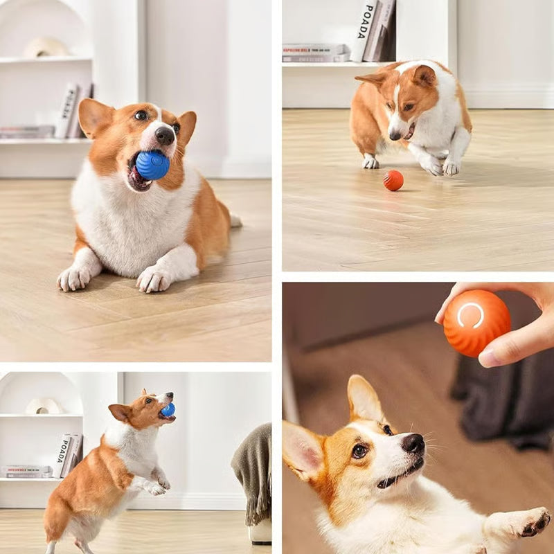 Electric Rolling Pet ToyBall