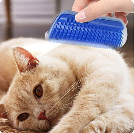 Cat Care Brush