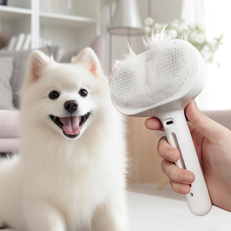 Mist Grooming Brush