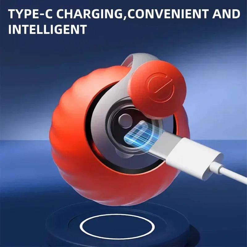 Magic interative Ball for Cats