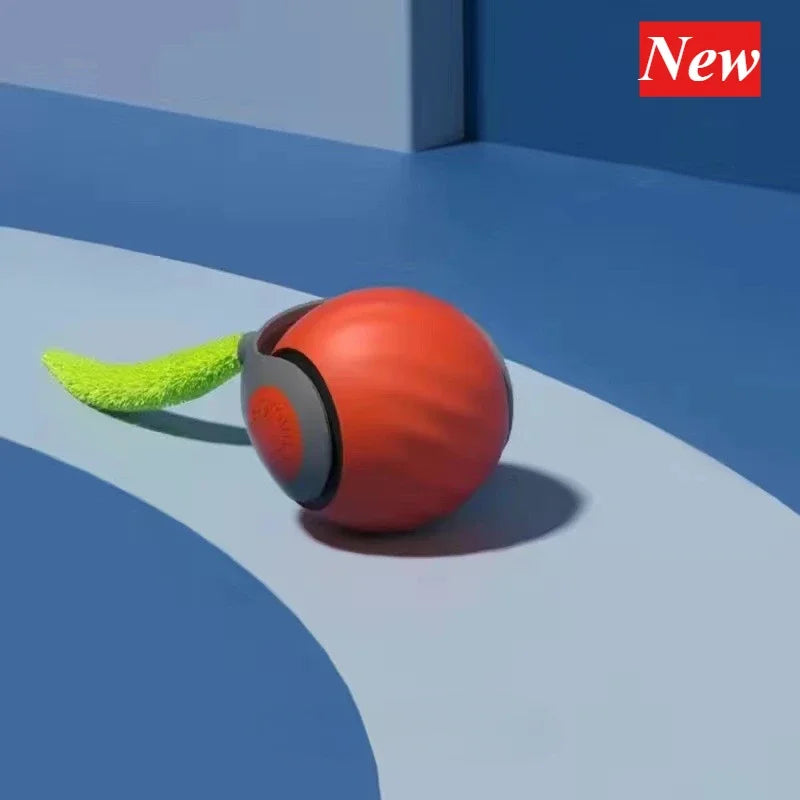 Magic interative Ball for Cats