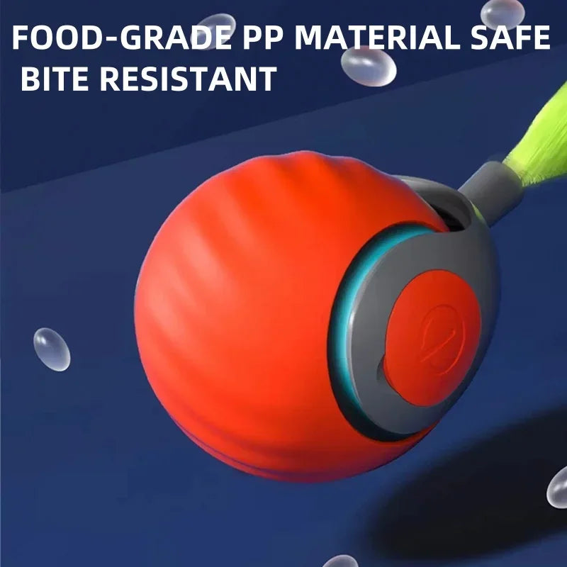 Magic interative Ball for Cats