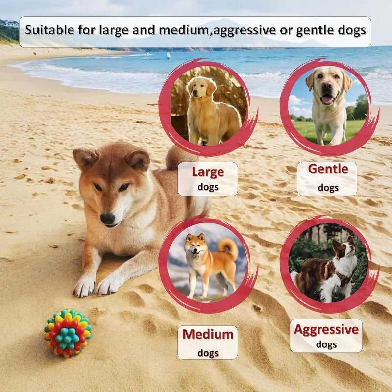 Dental-Friendly Toy for Medium & Large Dogs