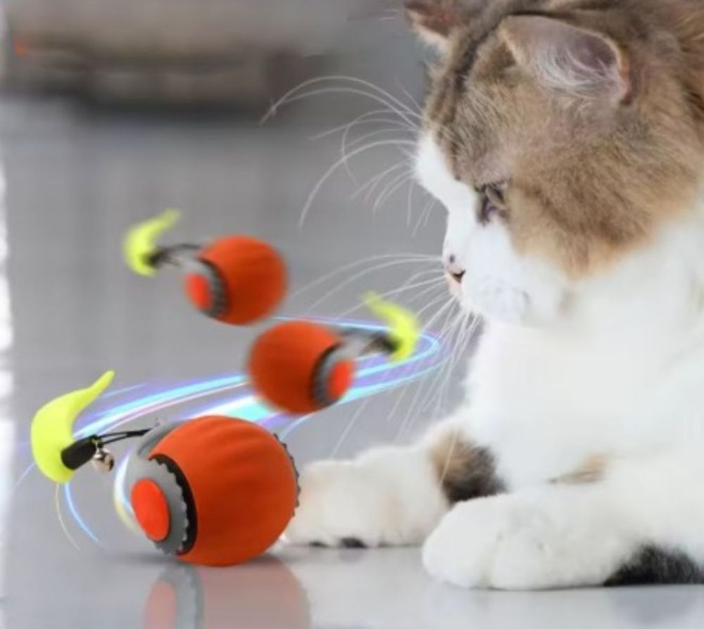 Magic interative Ball for Cats