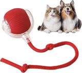 Interactive Pet ToyBall