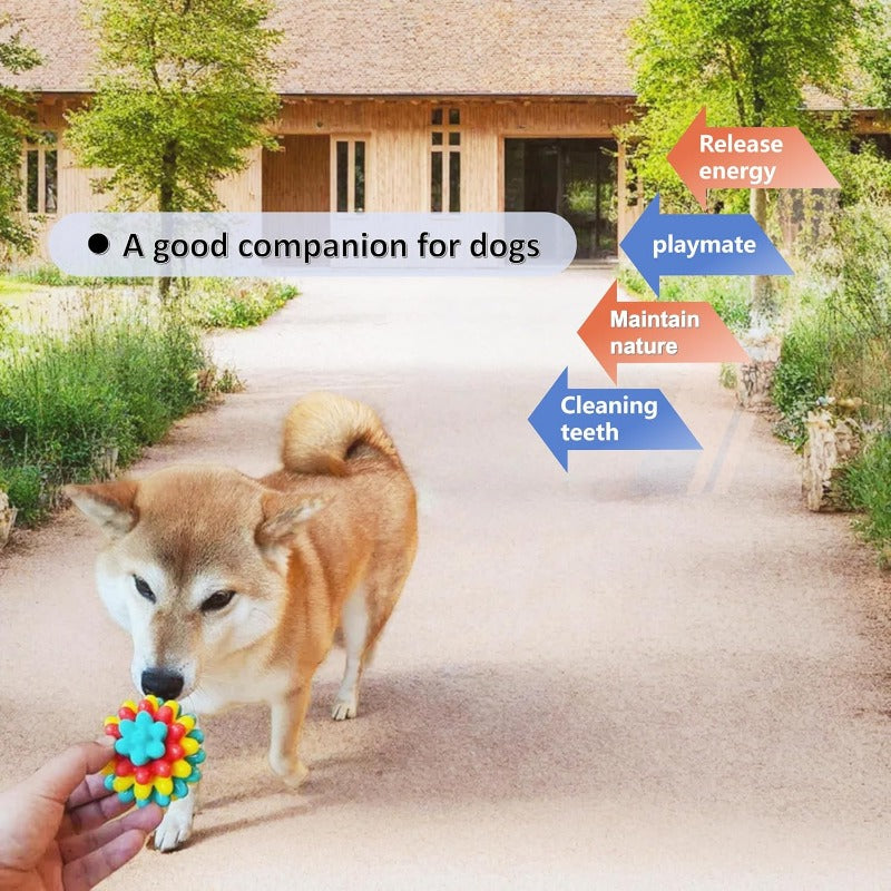 Dental-Friendly Toy for Medium & Large Dogs