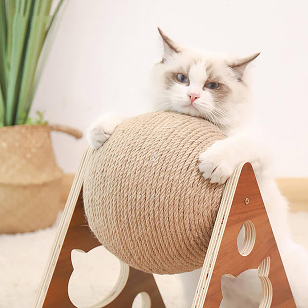 Distracto Ball Spinning Cat Toy