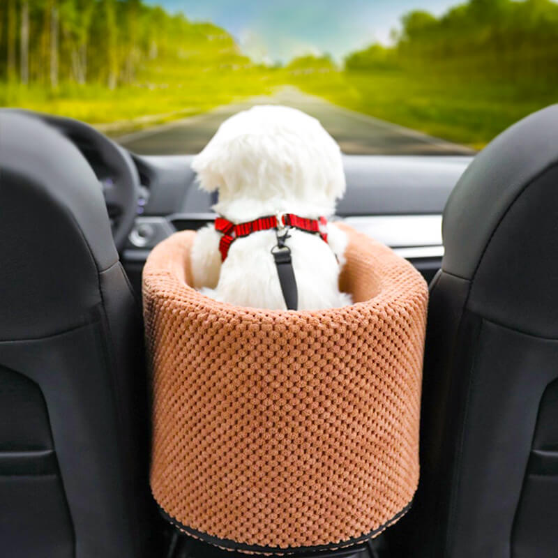Safe Puppy Car Seat