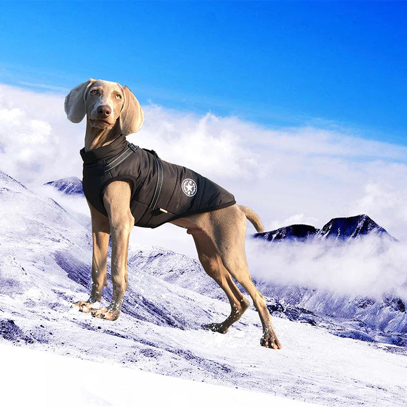 Waterproof Warm Dog Vest Winter With Harness