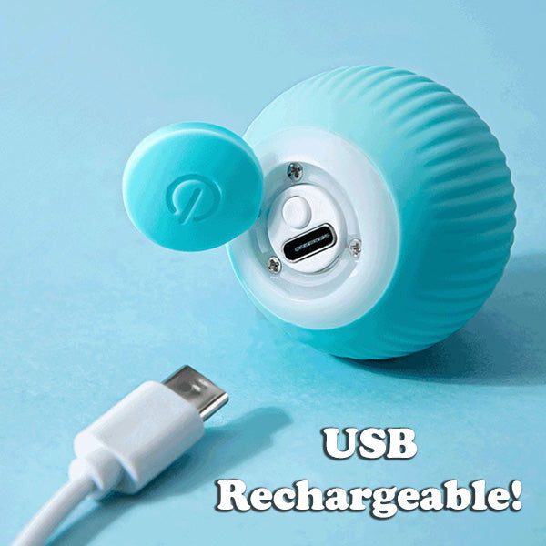 The Krazy Kitty Ball