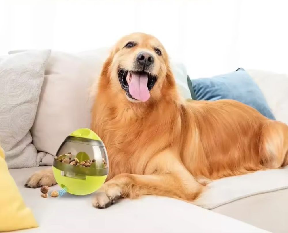 Smart Feeding Made Fun