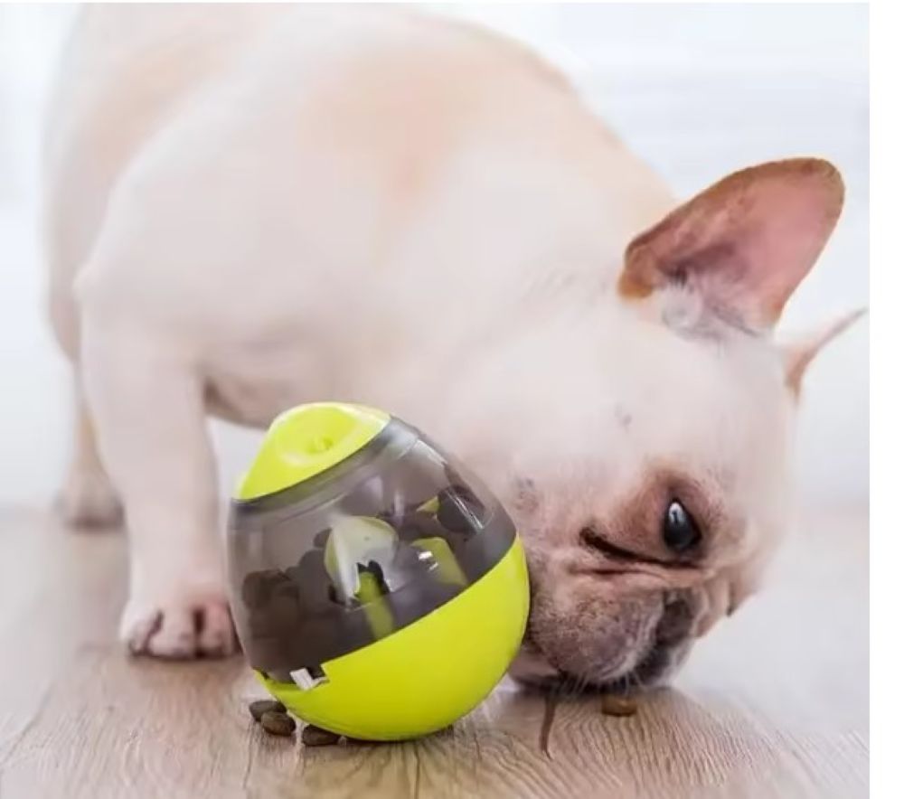 Smart Feeding Made Fun