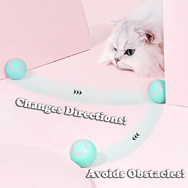 The Krazy Kitty Ball