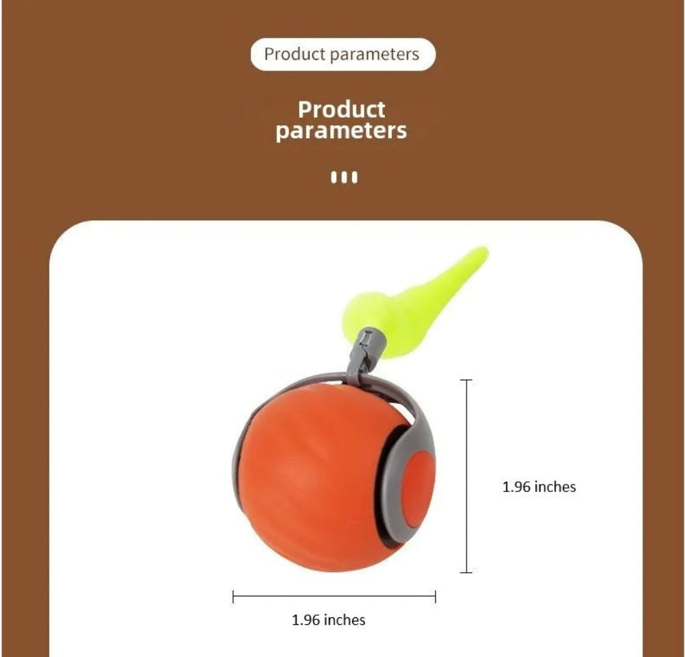 Magic interative Ball for Cats